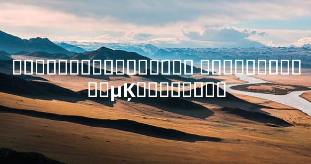 ���뿴���������˴�ʦ �ִ������ӽ��µĶ�����ת��